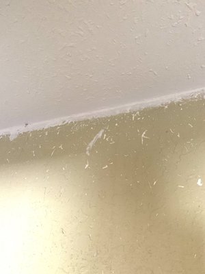 AA Masterpiece Painting