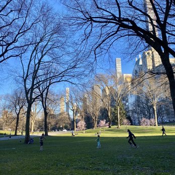 Central Park Conservancy - Parks Near Me - New York, New York
