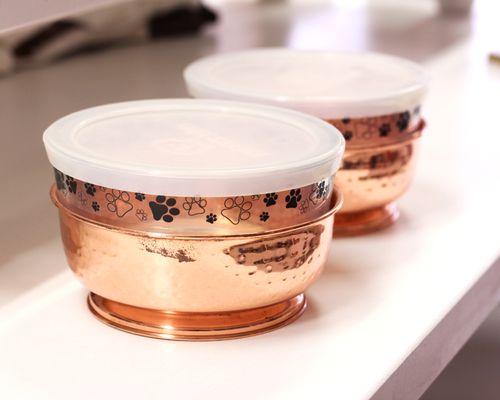 Dogue Grooming & Pet Boutique by null