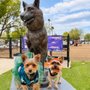 Schimmel Dog Park