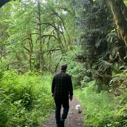 Tolt-MacDonald Park & Campground - Hiking the trails