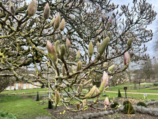 Oxford Botanic Garden by null