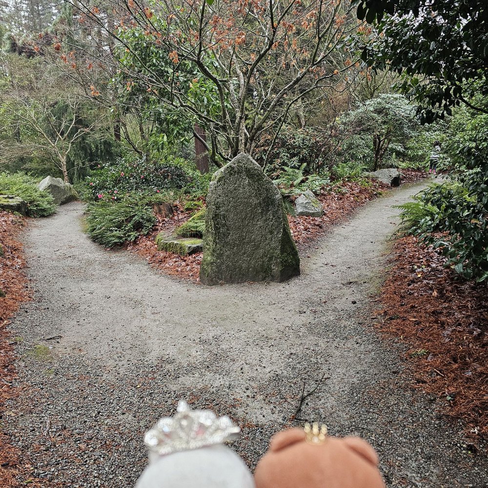 Kubota Garden - A fork in the path... - Botanical Gardens Near Me - Seattle, Washington Kubota Garden - A fork in the path... - Botanical Gardens Near Me - Seattle, Washington