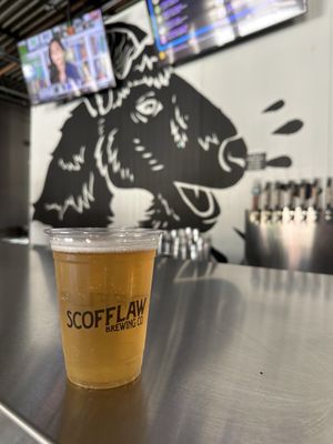 Scofflaw Brewing Co. by null