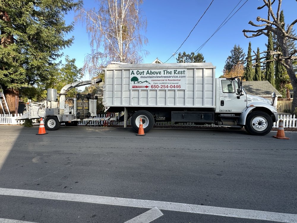 MOUNTAIN VIEW TREE SERVICE Updated February 2026 32 Photos 35 O 