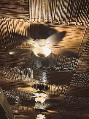 Secrets Aura Cozumel by null