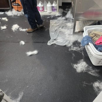TAILored Pet Services LLC and Four-Legged Fun Zone - The entryway, to the aftermath - Dog Walkers Near Me - Everett, Washington TAILored Pet Services LLC and Four-Legged Fun Zone - The entryway, to the aftermath - Dog Walkers Near Me - Everett, Washington