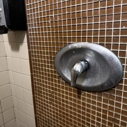 Nasty shower walls.