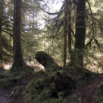 Norvan Falls - Hiking Near Me - North Vancouver, British Columbia Norvan Falls - Hiking Near Me - North Vancouver, British Columbia