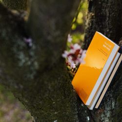 ArborUp Tree Services - Showing a spic that our education lays in the field of Tree Physiology.