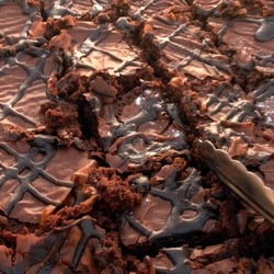 The Company Grill - Our delicious brownies