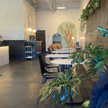 Roamer Coffee House - So many plants! - Coffee & Tea Near Me - Reno, Nevada Roamer Coffee House - So many plants! - Coffee & Tea Near Me - Reno, Nevada