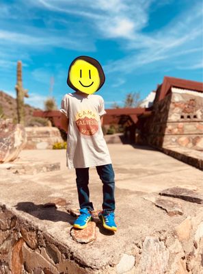 Taliesin West by null