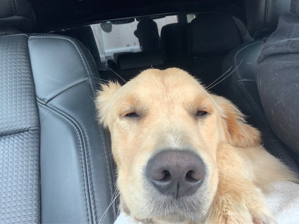 DRIVE CUSTOMS Updated April 2024 24 Photos & 22 Reviews 3512 Combine, Paso Robles