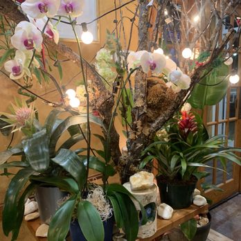 Spring Restaurant - Decor - Vietnamese Near Me - Methuen, Massachusetts