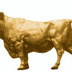Zum Goldenen Ochsen