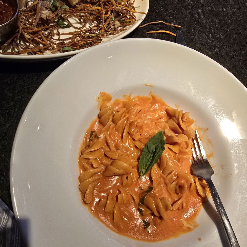 Rosso Italian - Calamari (10/10) and fussili alla vodka (10/10) - Italian Near Me - Phoenix, Arizona Rosso Italian - Calamari (10/10) and fussili alla vodka (10/10) - Italian Near Me - Phoenix, Arizona
