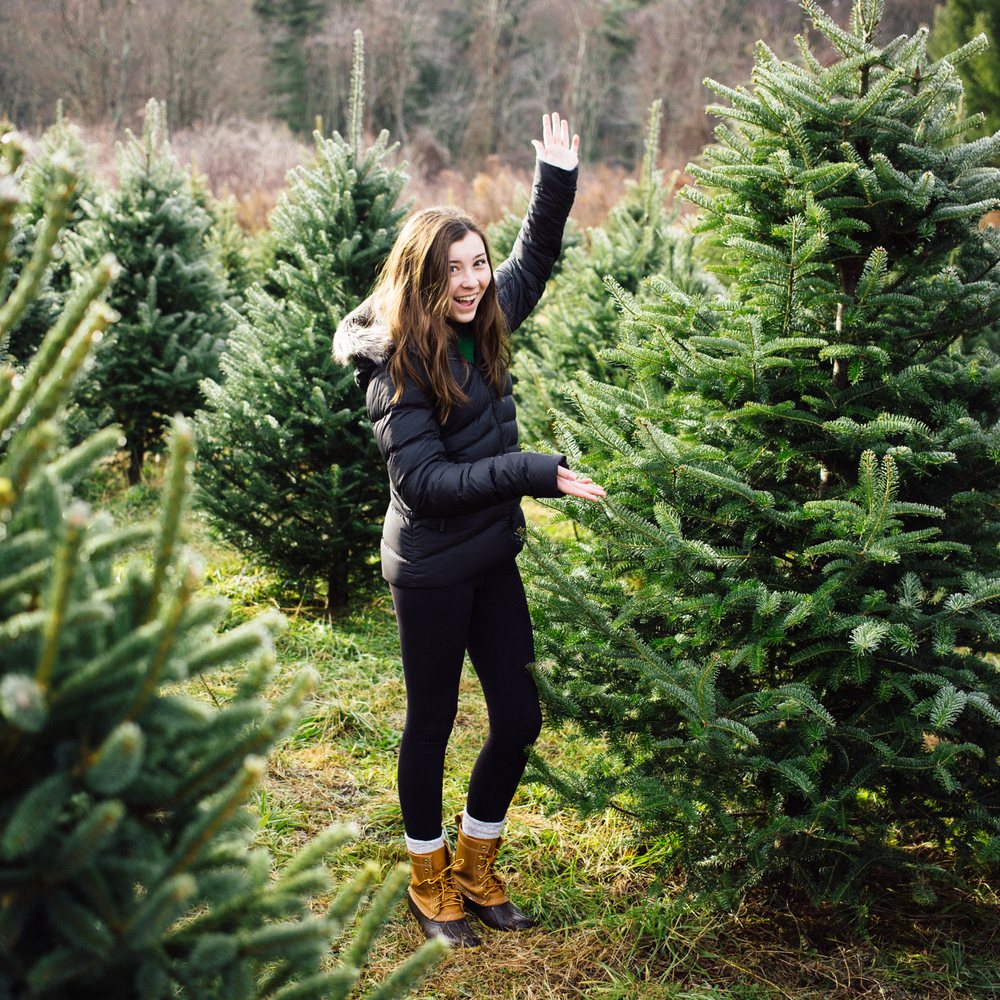 Maple Hollow Farm - Success! - Christmas Trees Near Me - New Hartford, Connecticut