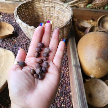 Hacienda Los Maldonado - Roasted coffee - Museums Near Me - Salinas, Puerto Rico Hacienda Los Maldonado - Roasted coffee - Museums Near Me - Salinas, Puerto Rico