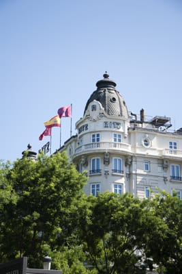 Mandarin Oriental Ritz, Madrid by null