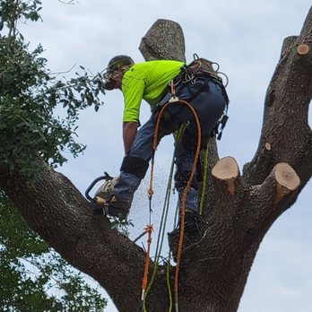 Baker Tree Care - Tree Removal - Tree Services Near Me Baker Tree Care - Tree Removal - Tree Services Near Me