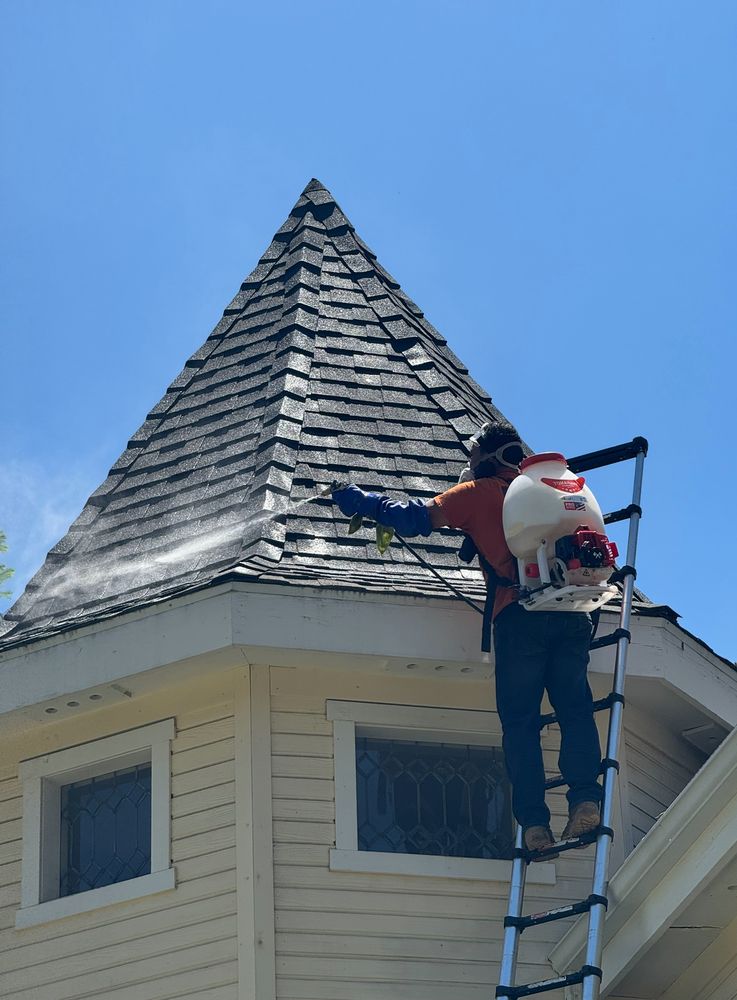 Slide of Restore Roof 2 Floor