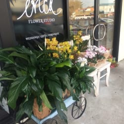 Erica Flower Studio