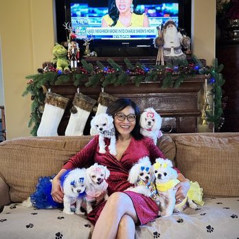 Summer’s Maltese - Pet Breeders Near Me - Gardendale, Alabama Summer’s Maltese - Pet Breeders Near Me - Gardendale, Alabama