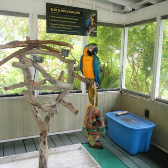 Sandoway Discovery Center - Parks Near Me - Delray Beach, Florida Sandoway Discovery Center - Parks Near Me - Delray Beach, Florida