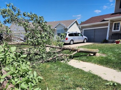 Tree Removal - Those Hazardous Trees Need to Go
Arrange for tree removal services in Ankeny, IA
Mature trees are assets - unless they're damaged and dying. If your trees can't be nursed back to health, you'll want to cut them down. D&J's Complete Tree Service-Ankeny provides tree removal services in Ankeny, IA and the surrounding area, so you can count on us to remove these safety hazards from your property.

We typically rely on...

Cranes and rigging equipment, to access hard-to-reach areas safely
Chainsaws, to remove tree trunks and limbs in a controlled manner
Wood chippers, to turn the debris into mulch
We can also turn your trees into firewood upon request. Reach out today to take advantage of our efficient tree removal services.