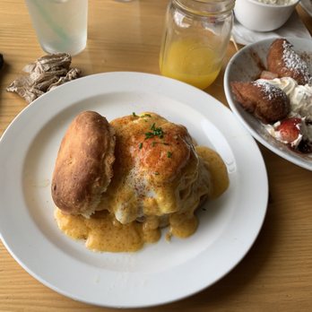 Vicious Biscuit - Rising swine! - Coffee & Tea Near Me - Summerville, South Carolina Vicious Biscuit - Rising swine! - Coffee & Tea Near Me - Summerville, South Carolina