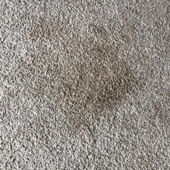 Campbell Properties - Look at this nice two toned carpet - Property Management Near Me - Fargo, North Dakota Campbell Properties - Look at this nice two toned carpet - Property Management Near Me - Fargo, North Dakota