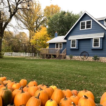 Molin's Meadows Farm - Pumpkin Patches Near Me - Cambridge, Minnesota