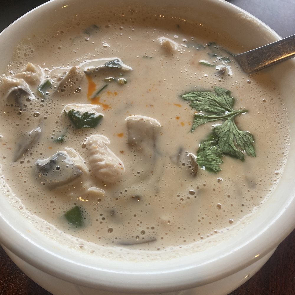 Chicken coconut soup (inedible) Chicken coconut soup (inedible)