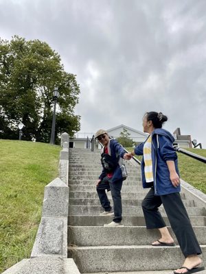 Plymouth Rock by null