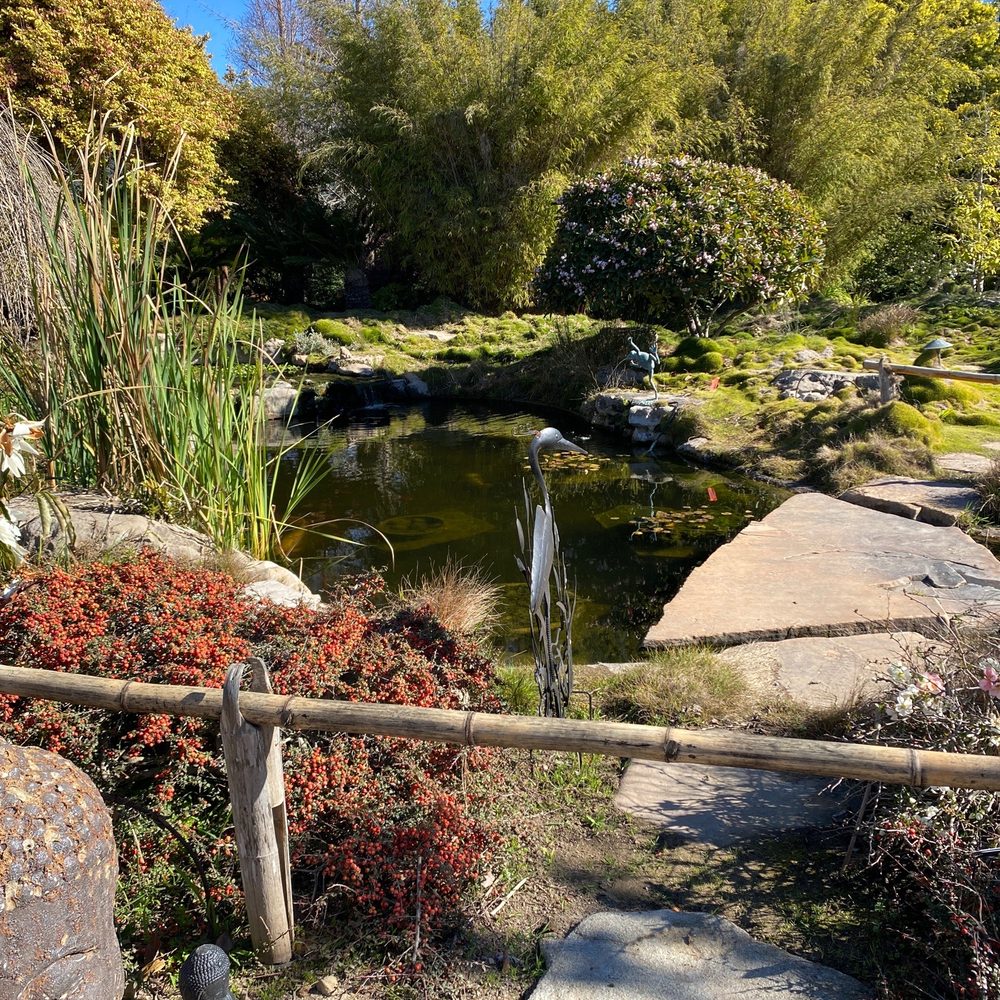 Seaside Gardens - Koi pond - Nurseries & Gardening Near Me - Carpinteria, California Seaside Gardens - Koi pond - Nurseries & Gardening Near Me - Carpinteria, California