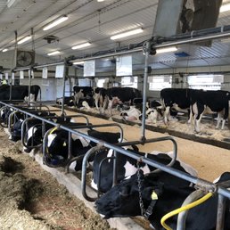 Pineland Farms - Maine