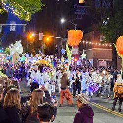 Procession Of The Species