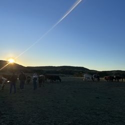 Rancho Cortez - So pretty