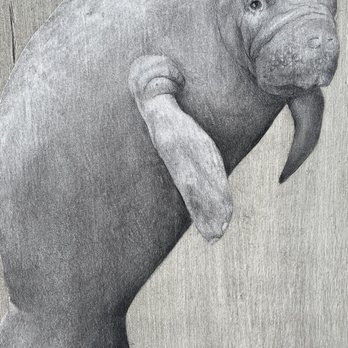 Rare Earth Gallery - Art Galleries Near Me - Stuart, Florida