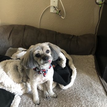 Cheyenne's Mobile Pet Grooming - Pet Groomers Near Me Cheyenne's Mobile Pet Grooming - Pet Groomers Near Me