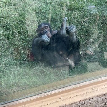 ABQ BioPark Zoo - Zoos Near Me - Albuquerque, New Mexico
