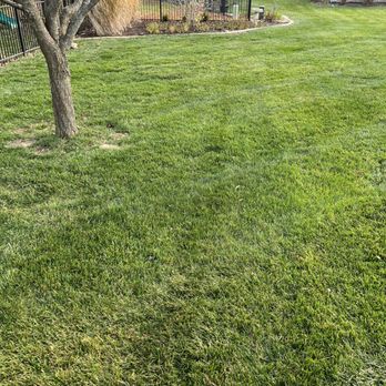 Mowments Notice - After - Lawn Services Near Me