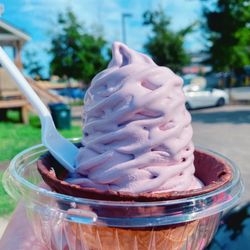 Dairy Joy - Black raspberry soft serve