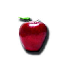 Educational Consultants - reading tutor in Midlothian, VA