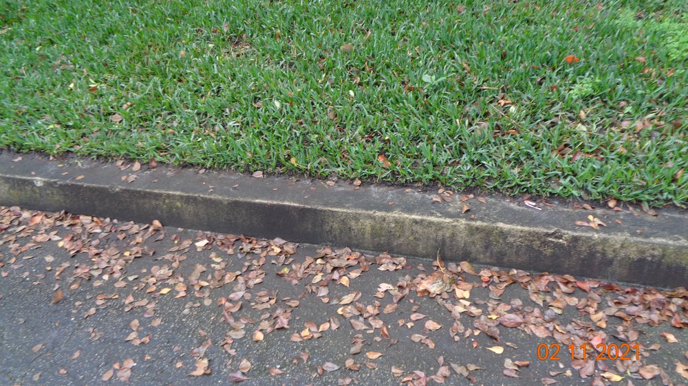 CAMPBELL PROPERTY MANAGEMENT Updated October 2024 159 Photos & 81