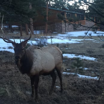 Mary's Lake Lodge - Hotels Near Me - Estes Park, Colorado Mary's Lake Lodge - Hotels Near Me - Estes Park, Colorado