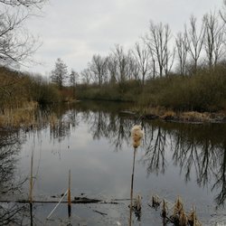 Wienburgpark