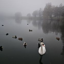 Stadtpark