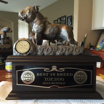 Awesome Awards/Western Trophy - Trophy Shops Near Me - Riverside, California Awesome Awards/Western Trophy - Trophy Shops Near Me - Riverside, California